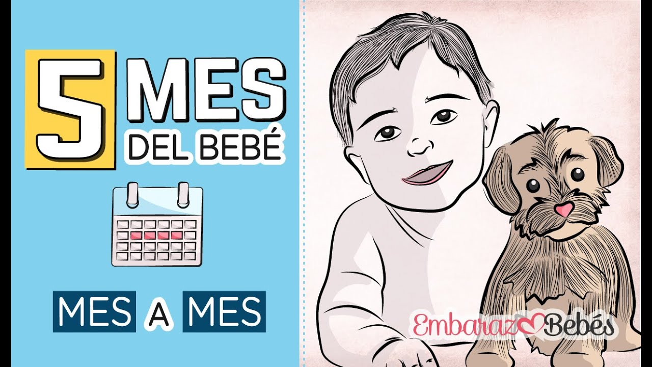 que hace un niño de 5 meses