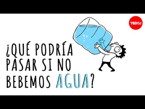 que le pasa a tu cuerpo si no tomas agua