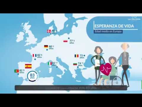 que organizaciones prestan asistencia privada en españa