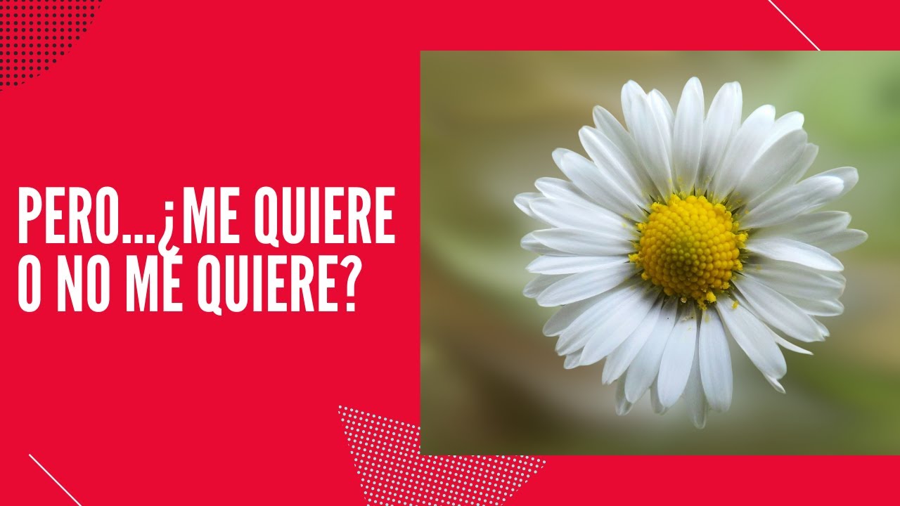 tiene miedo al compromiso o no me quiere