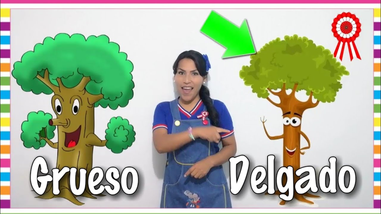como enseñar grueso y delgado en preescolar