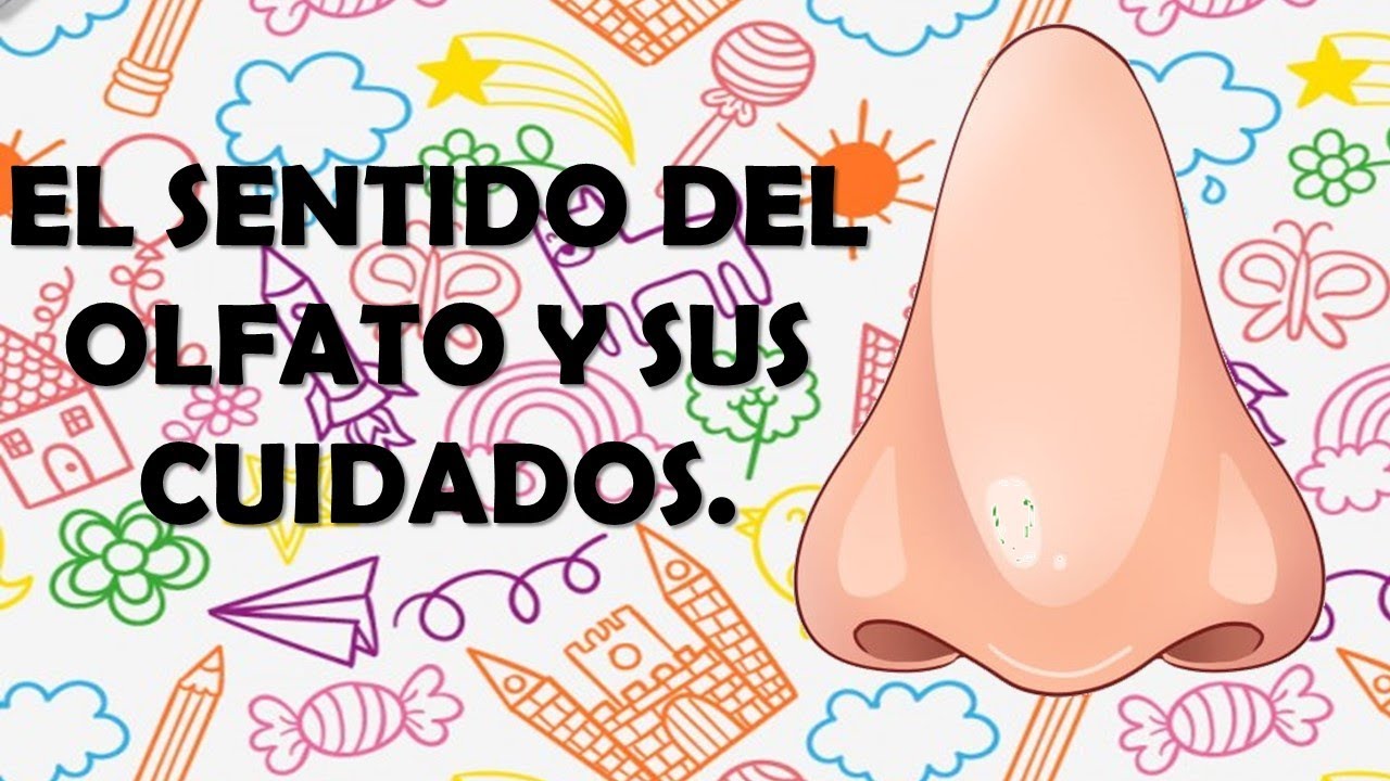 cuidados del sentido del olfato para niños