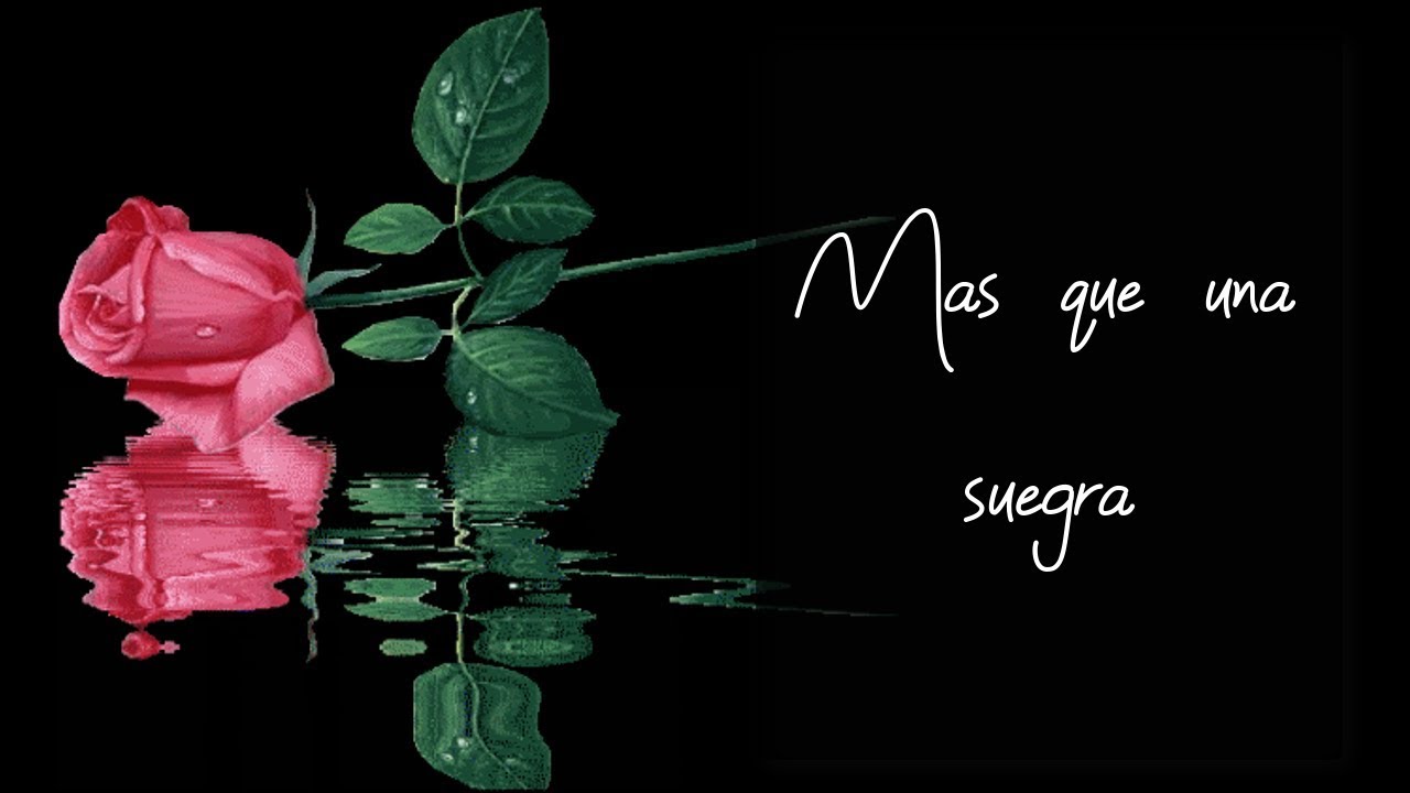 frases para mi suegra que me odia