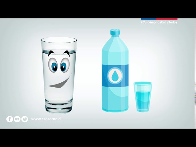 porque es importante tomar agua simple potable