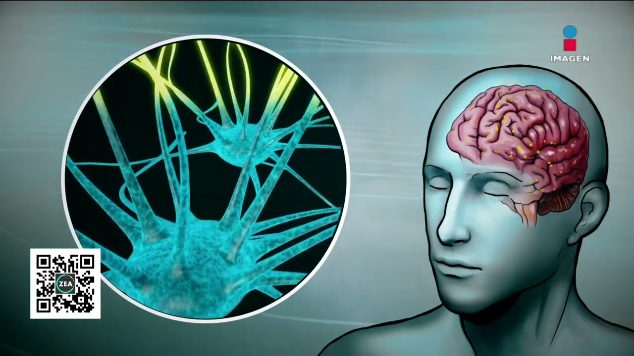 trastorno y enfermedad mental es lo mismo